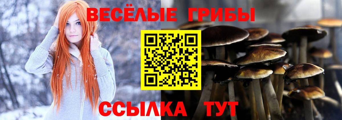 Галлюциногенные грибы ЛСД Шали