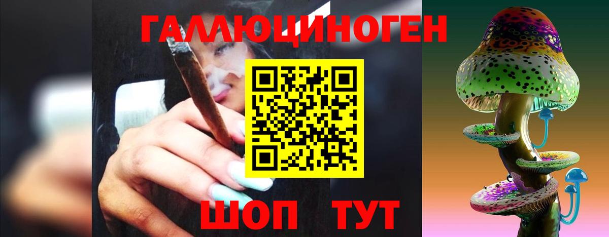 Галлюциногенные грибы Cubensis  Вход с VPN  Шали 